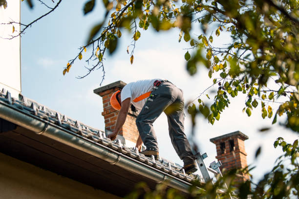 Best Roof Gutter Cleaning  in Theresa, WI