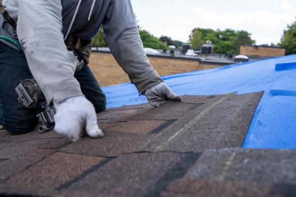 Best Tile Roofing Contractor  in Theresa, WI