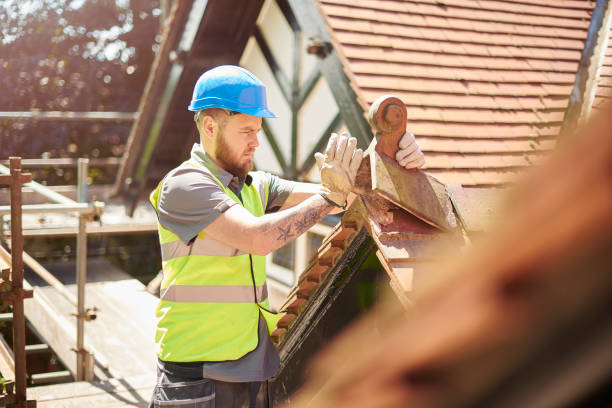 Professional Roofing Contractor in Theresa, WI