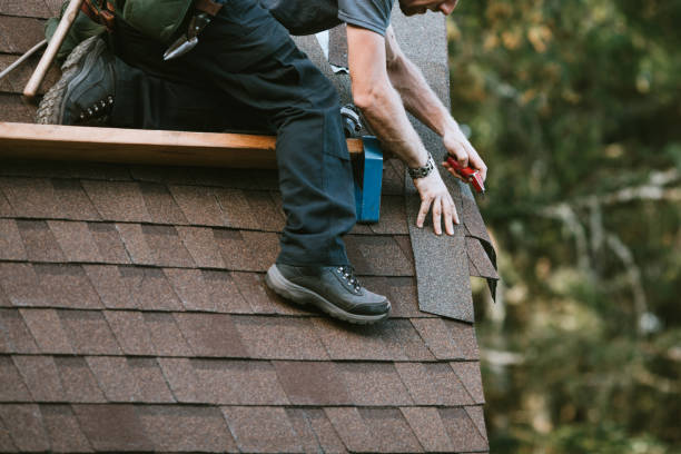 Best Flat Roof Repair Services  in Theresa, WI